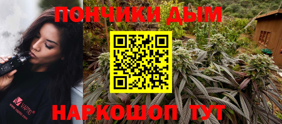 Кемерово  Марихуана ГИДРОПОН  Вход с VPN  МАРИХУАНА семена 